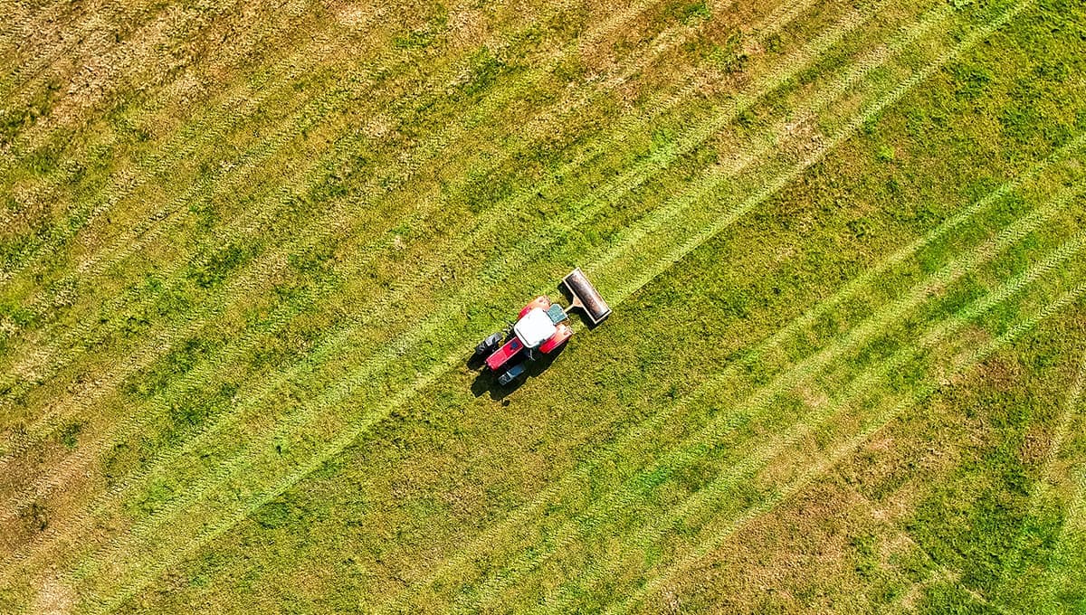 MBA in Agribusiness
