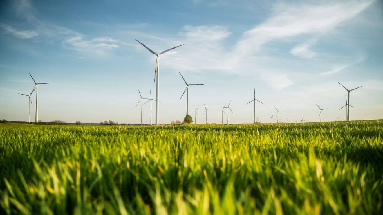 Imagem de campo para ilustrar a economia verde.